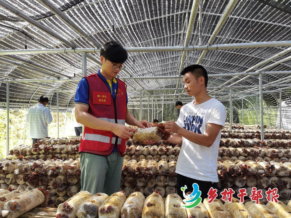 李文濤（左）調研木耳產業2.jpg